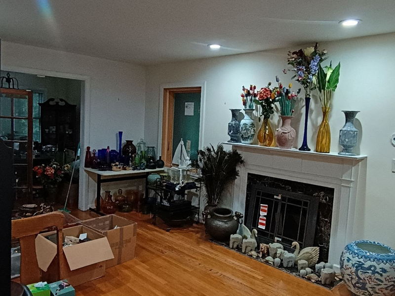 Living Room Overview