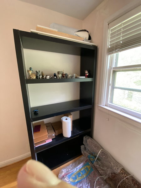 Black Bookshelf with Animal Figurine Collection